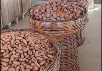 Hasır Sepet ve Kova