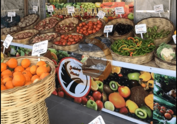 Hasır Sepet ve Kova