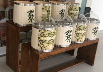 Masif Zeytin Kovası