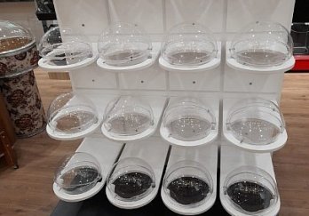 Çift Yönlü Küre Kutulu Şekerleme Standı