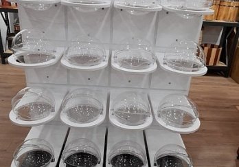 Çift Yönlü Küre Kutulu Şekerleme Standı